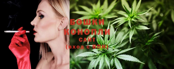 PSILOCYBIN Сясьстрой