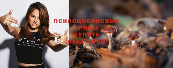 PSILOCYBIN Сясьстрой