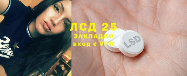 PSILOCYBIN Сясьстрой