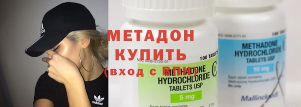 PSILOCYBIN Тайга