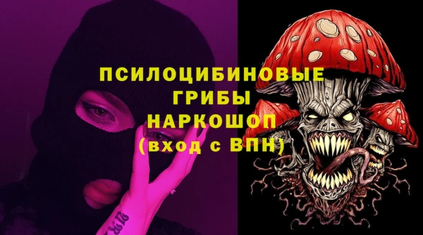 PSILOCYBIN Тайга