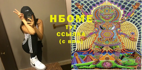 PSILOCYBIN Тайга