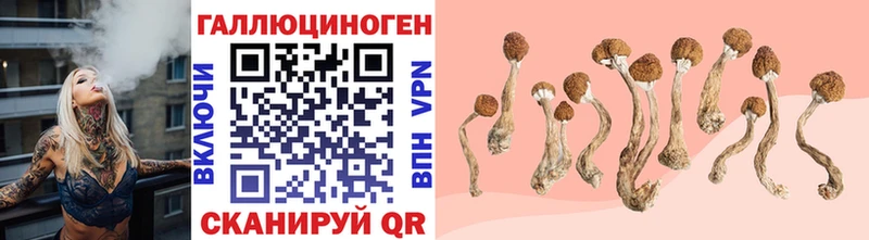 Купить где  Курганинск  Галлюциногенные грибы MAGIC MUSHROOMS 