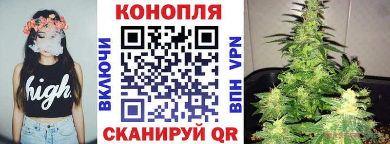 Купить  Курганинск  Канабис сатива 